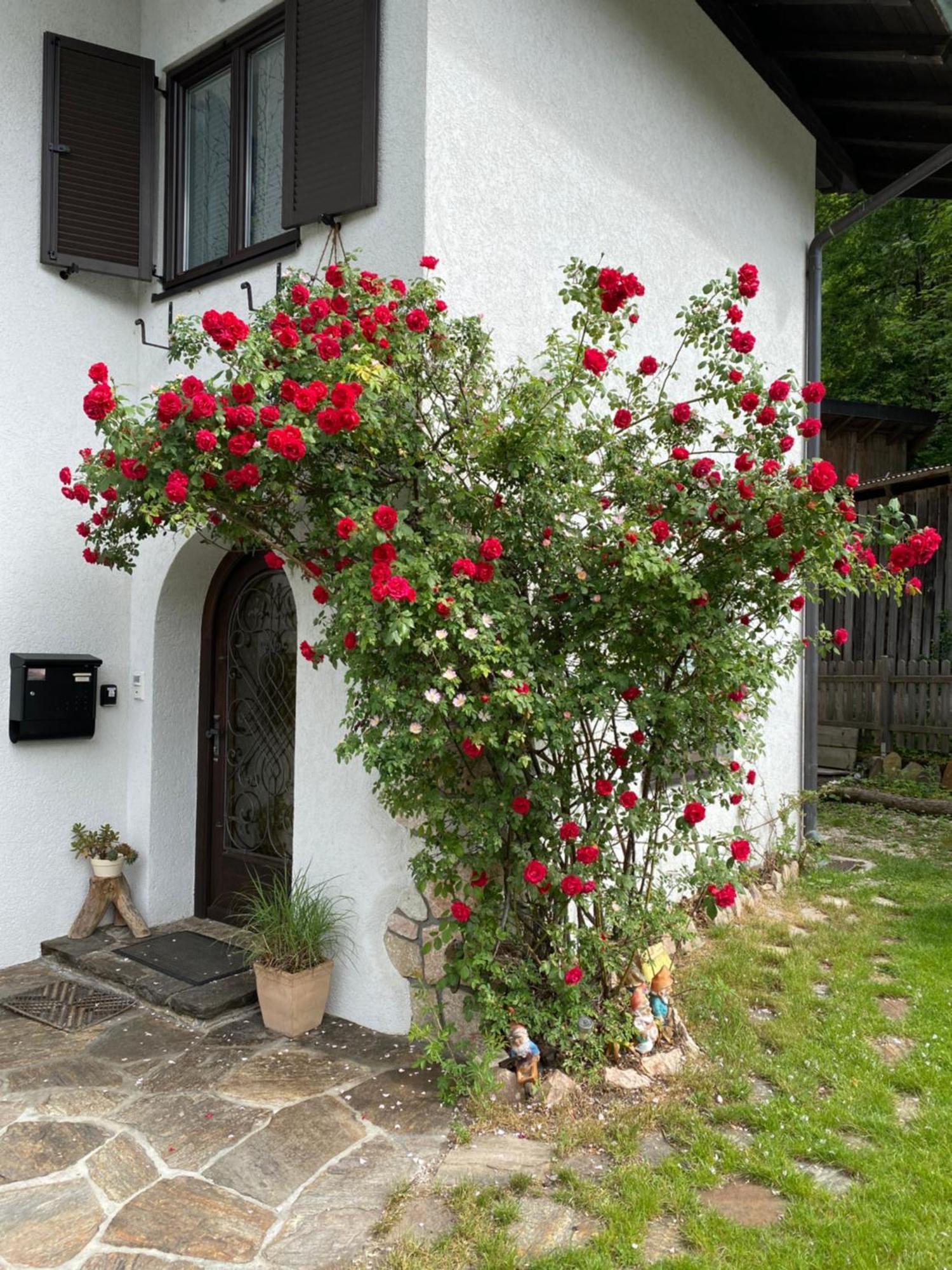 Ferienwohnung Laimer, Radau 37 Saint Wolfgang Extérieur photo